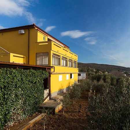 The Manzoni Family 5 Hotel Punat Eksteriør billede